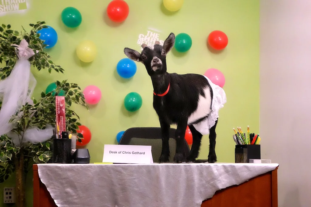 TCGS_FUSION_01_150728_047.jpg
