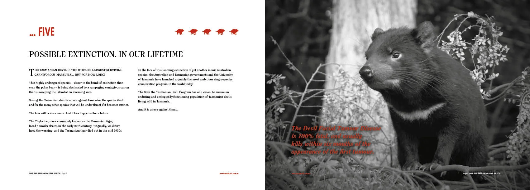 STDA3812_Prospectus_Concept_V83.jpg