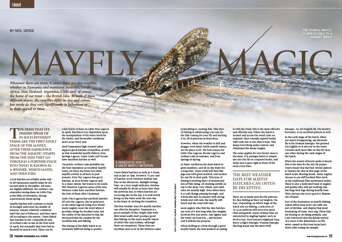 AATA1433_Fishing Tasmania_Mag_TEXT_A4_FINAL16.jpg