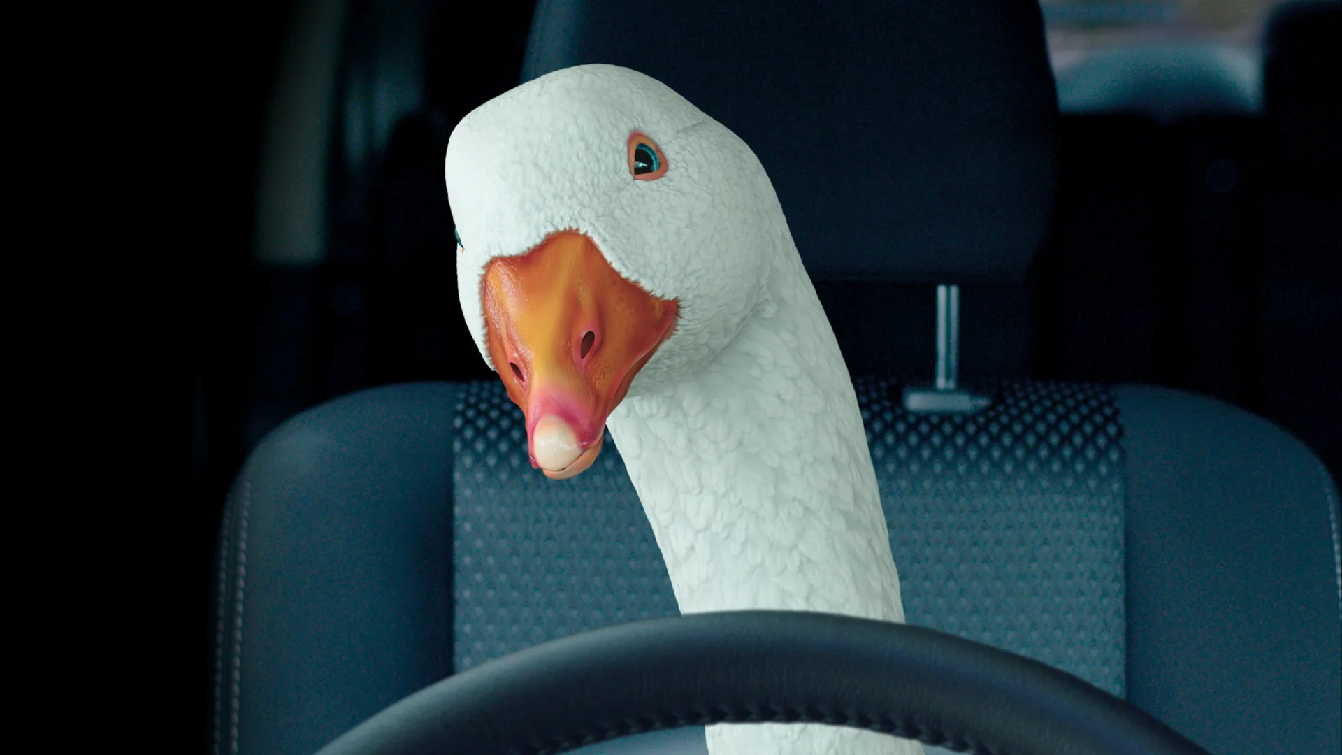 MS_Don't Be a Goose_Assets.jpg