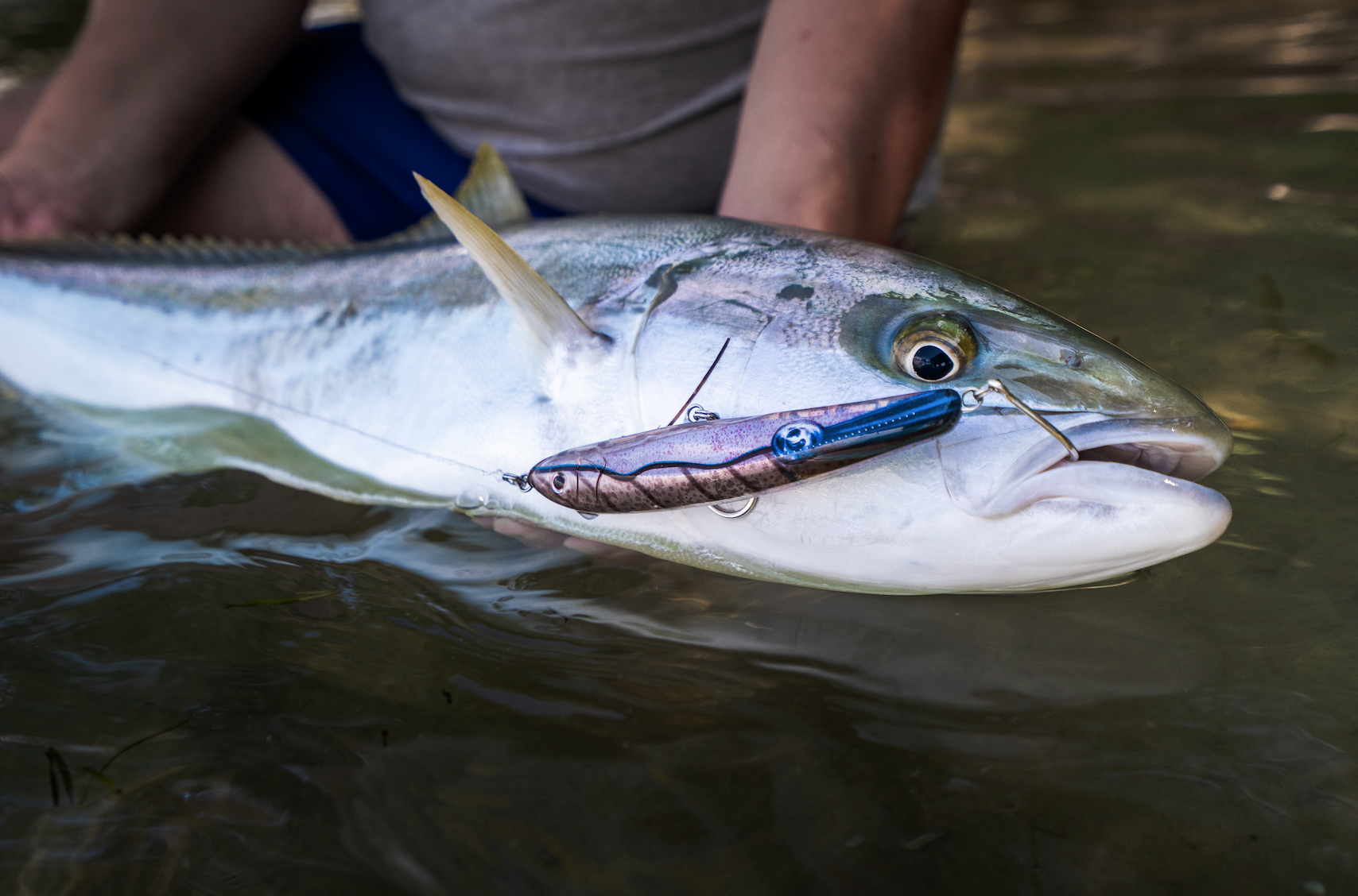 How to Land-based Fish in New Zealand Harbours — Nomad Design New