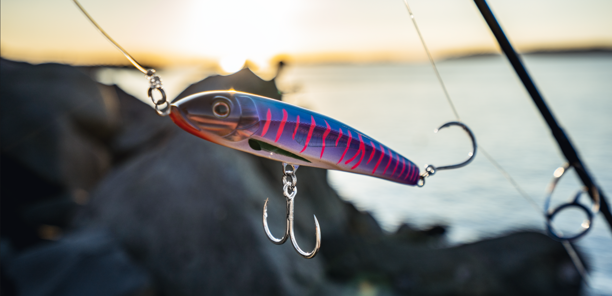 Screen Shot 2020-05-12 at 11.28.49 AM.png