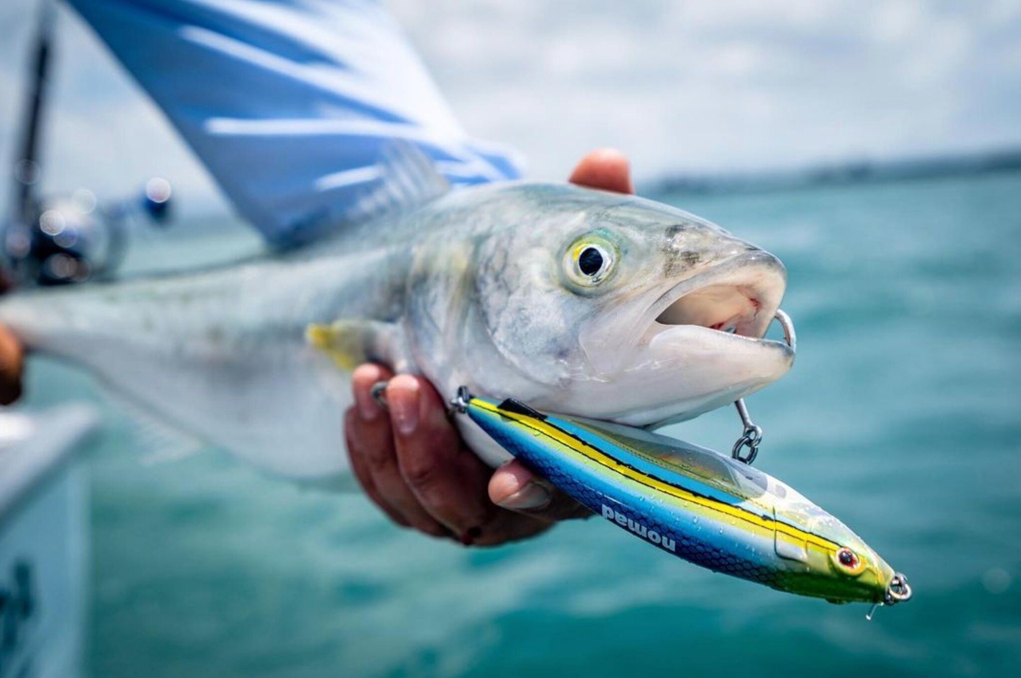 It doesn't have to be about big fish all the time. Kahawai on light gear can be a bit of fun on the Madscad 115mm when the fishing is a little bit slow. Plus they can be caught year-round

Not sure what you're up to this weekend? Why not grab a light