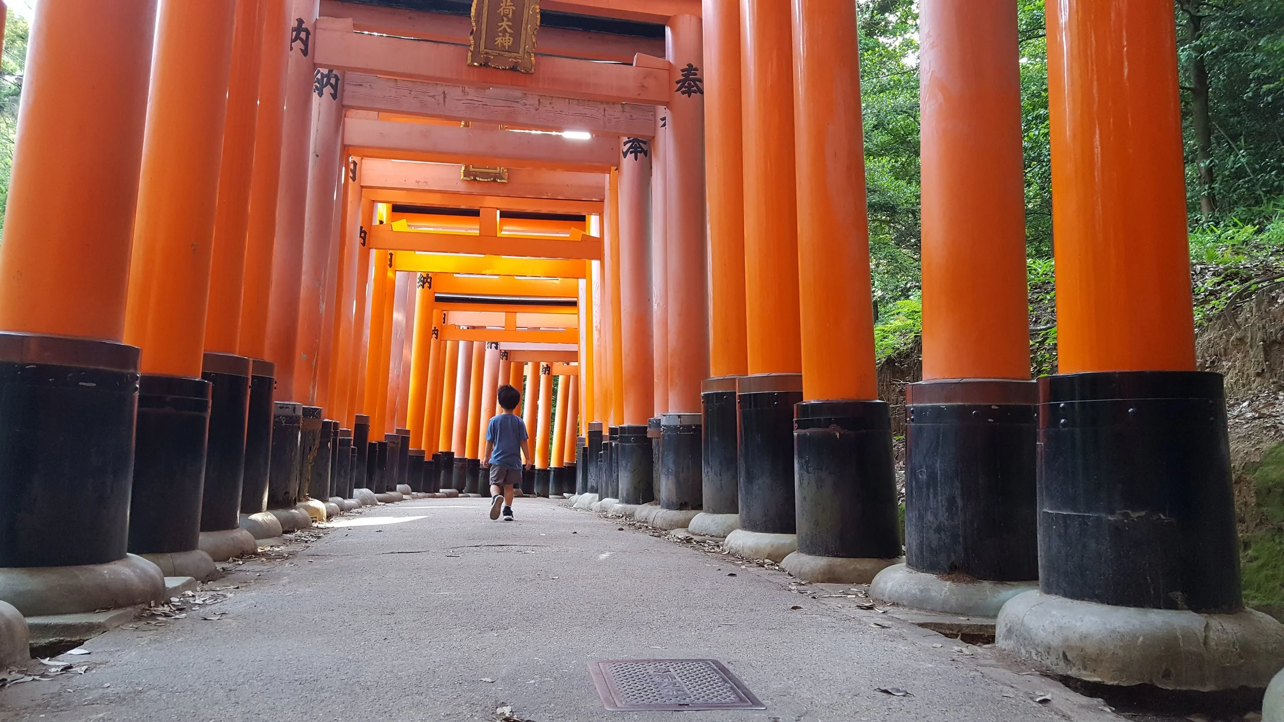 "Torii Gates at Fushimi Inari-Taisha Shrine", Kyoto, Japan, 2018