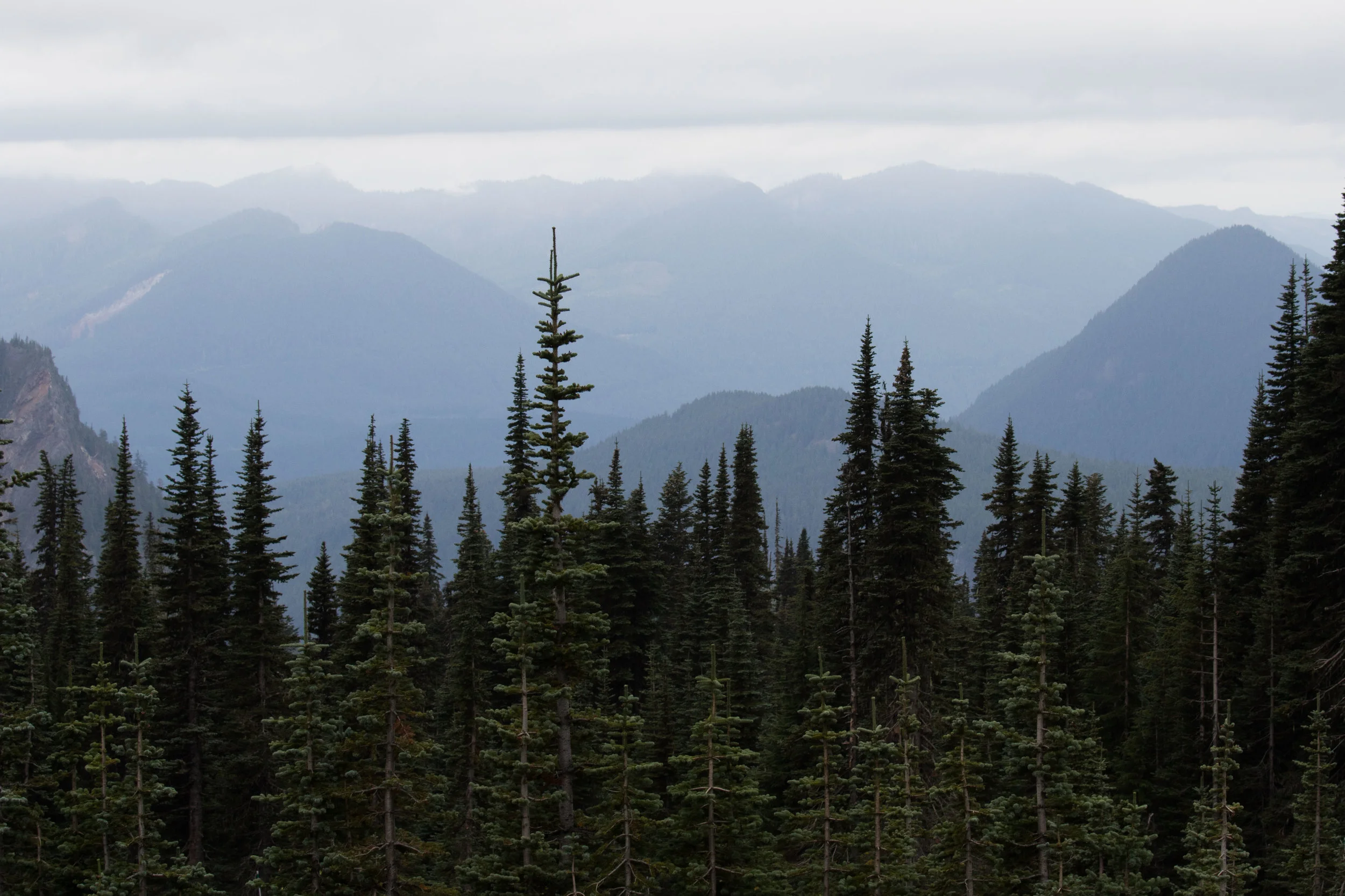 2018_Mt_Rainer-87.jpg