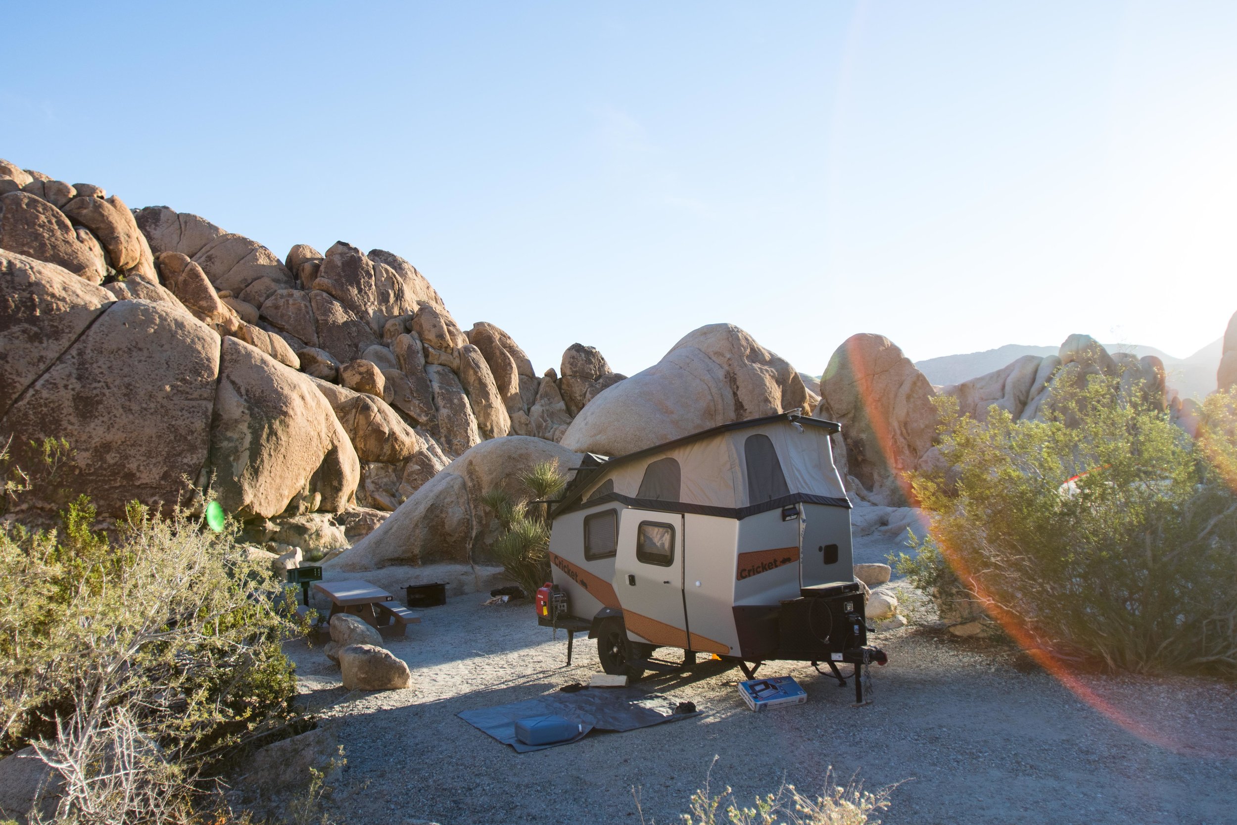 2018_JoshuaTree-136.jpg