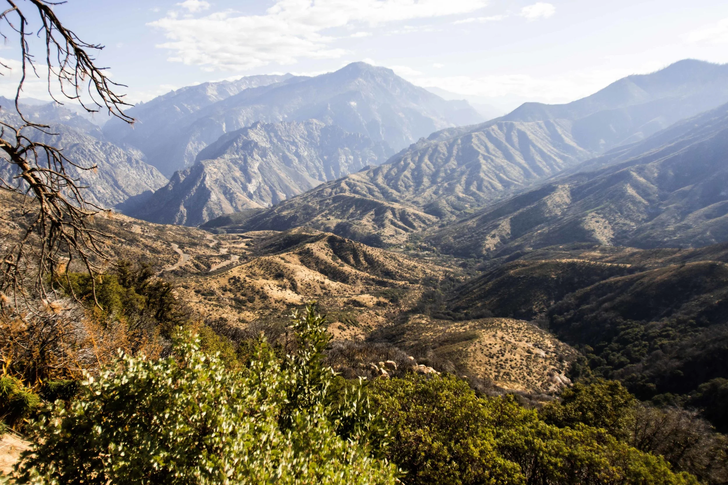 King's Canyon National Park