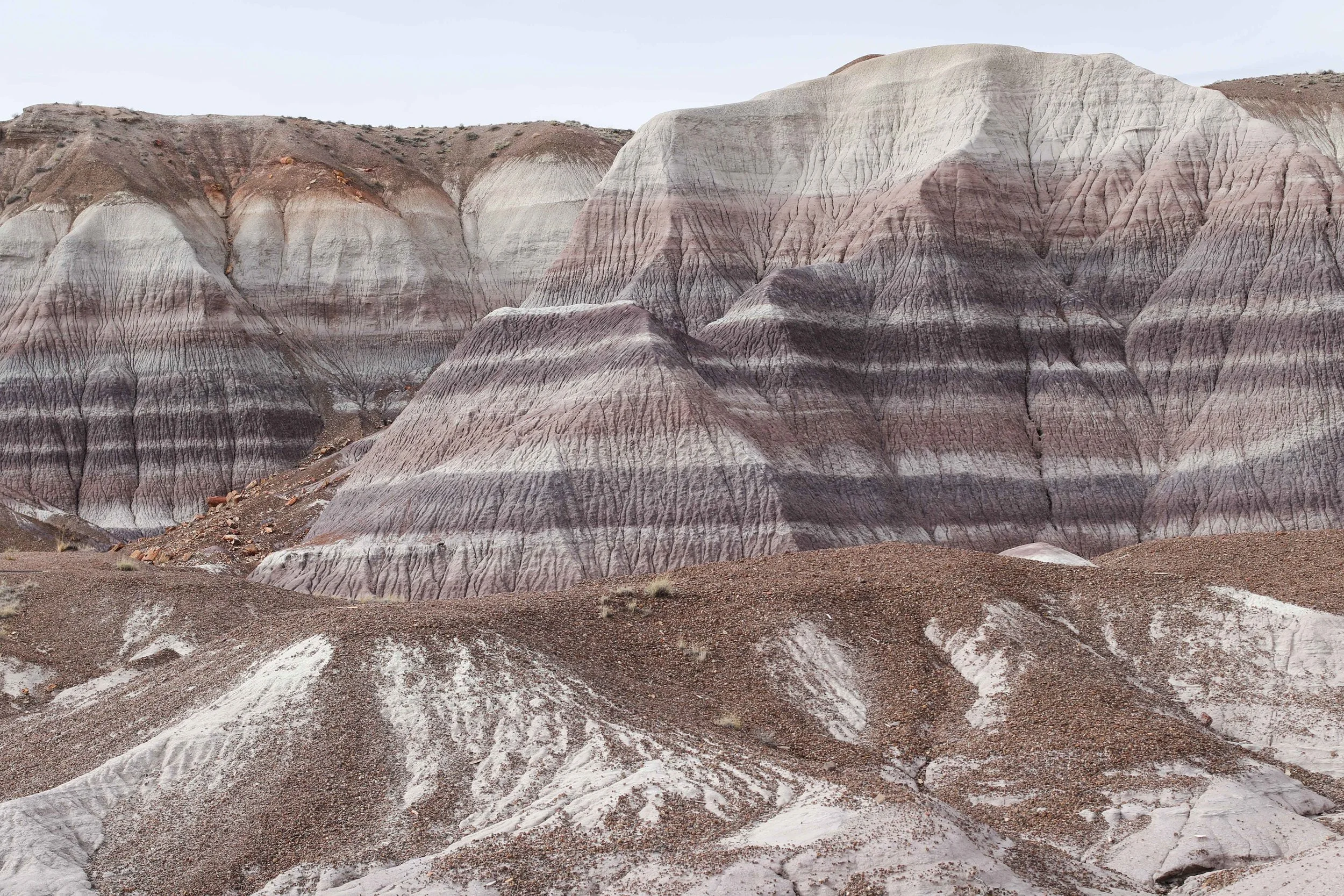 Petrified National Park