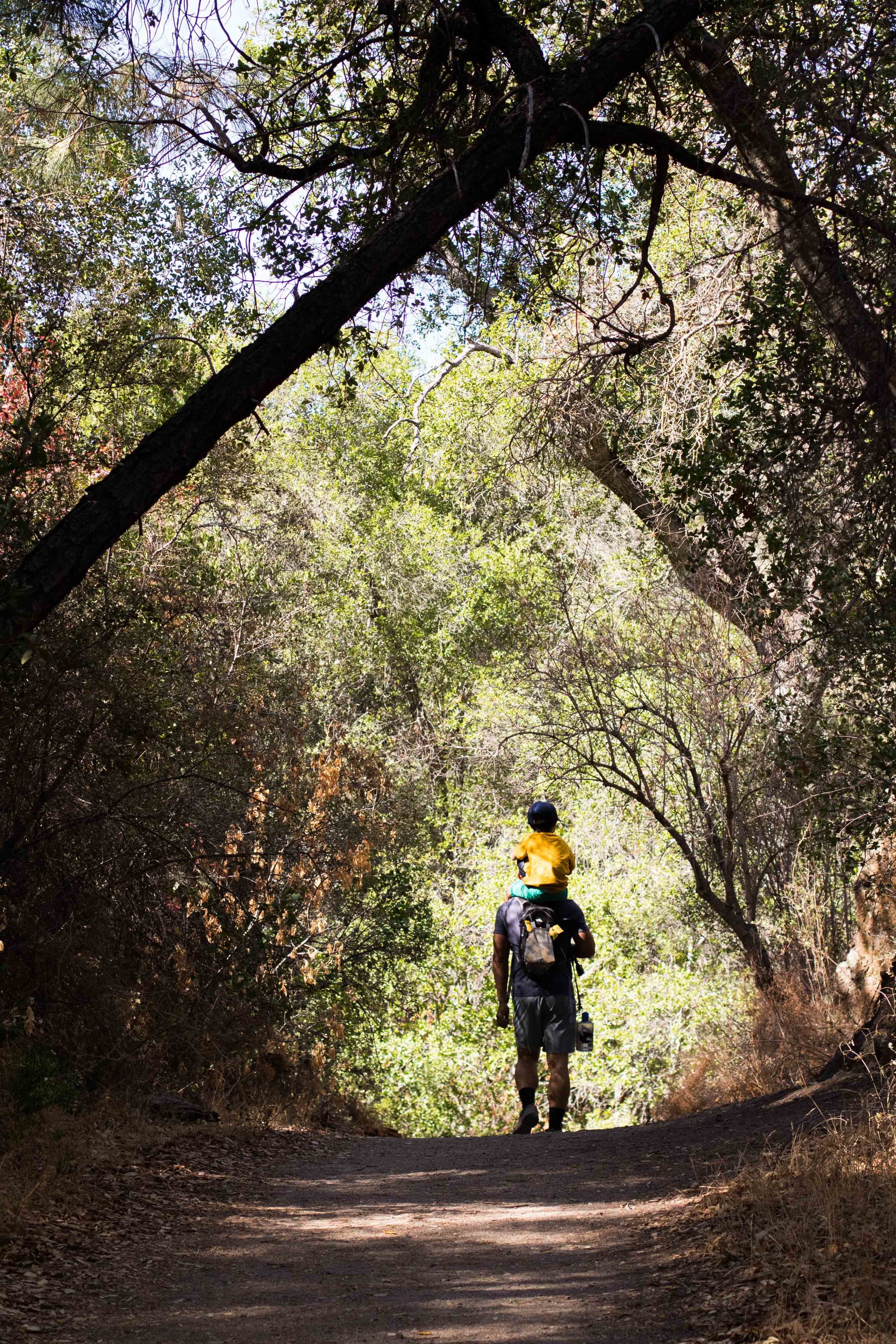 2018_Pinnacles-171.jpg