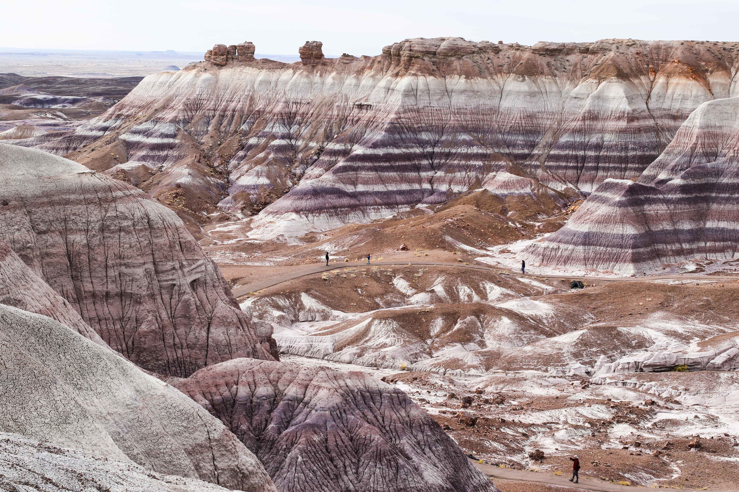 2018_Petrified-331.jpg