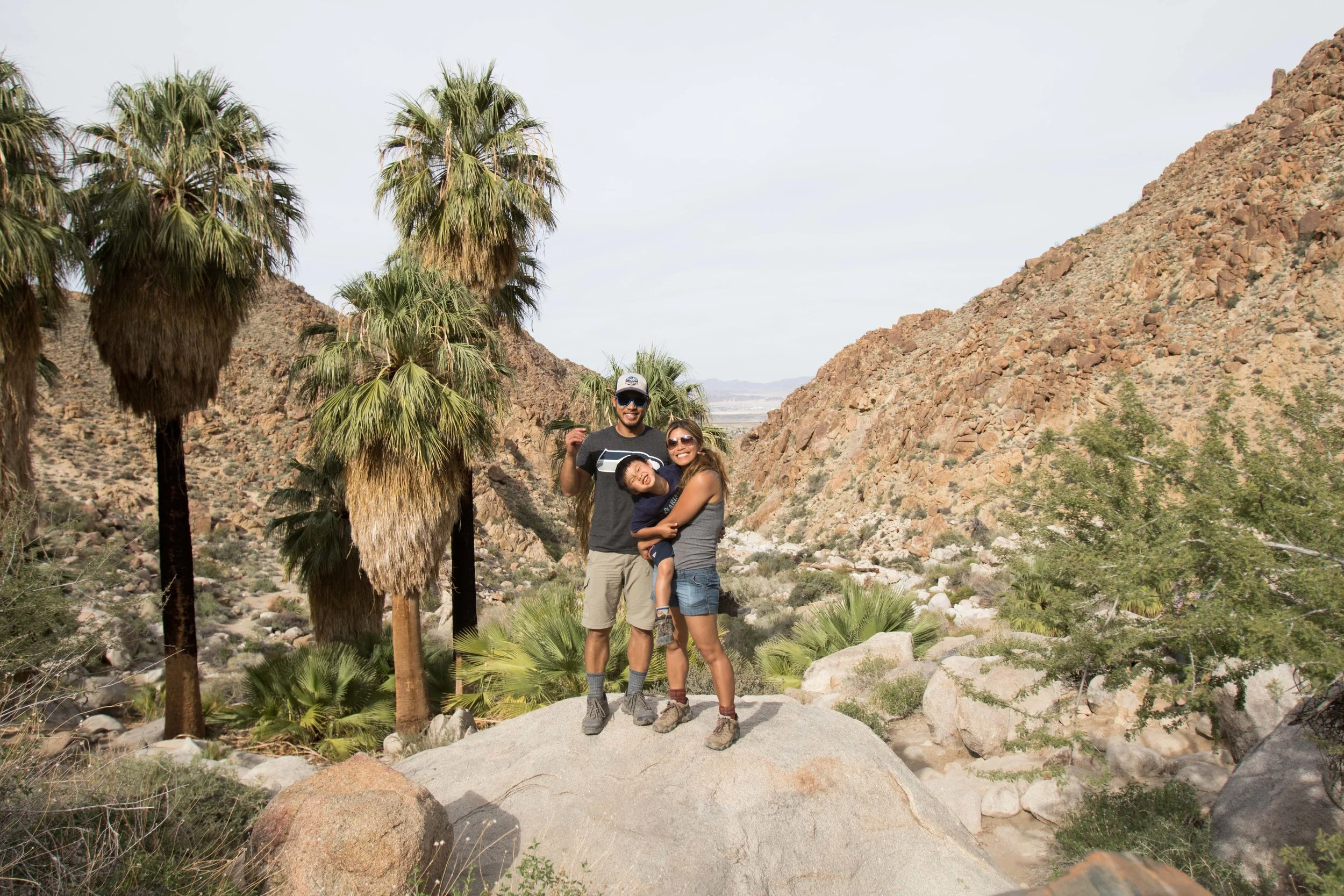 Forty-nine Palms Oasis
