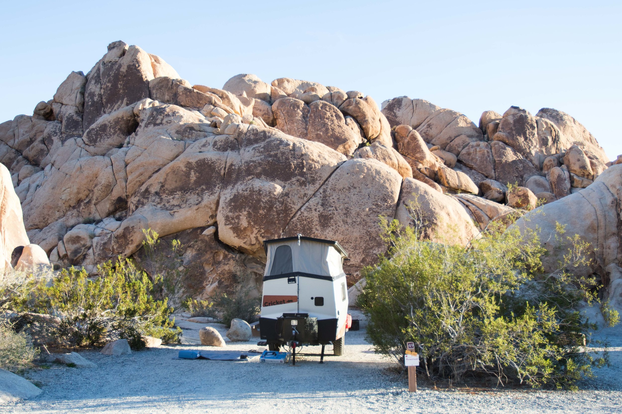 2018_JoshuaTree-133.jpg