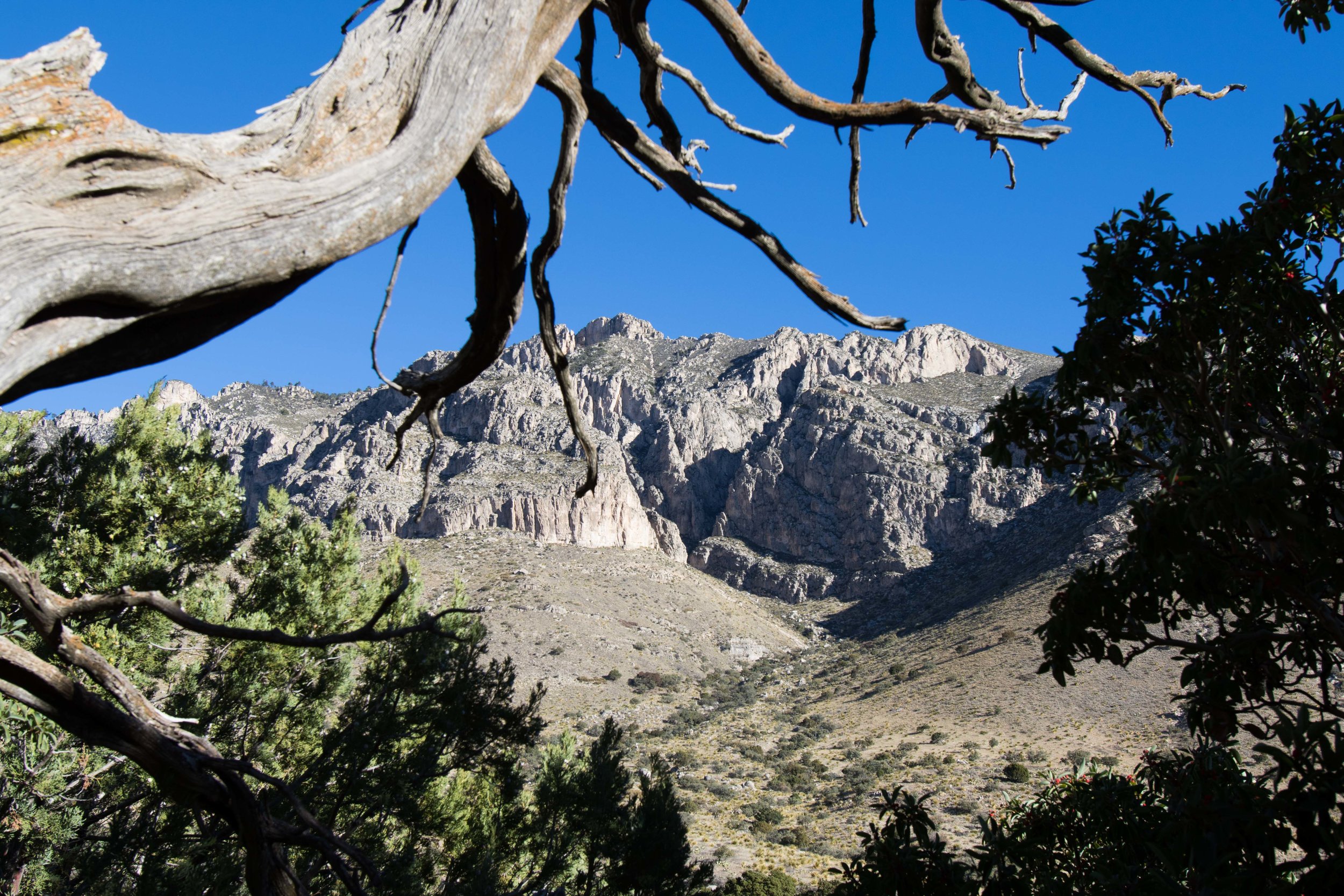2018_Guadalupe-156.jpg
