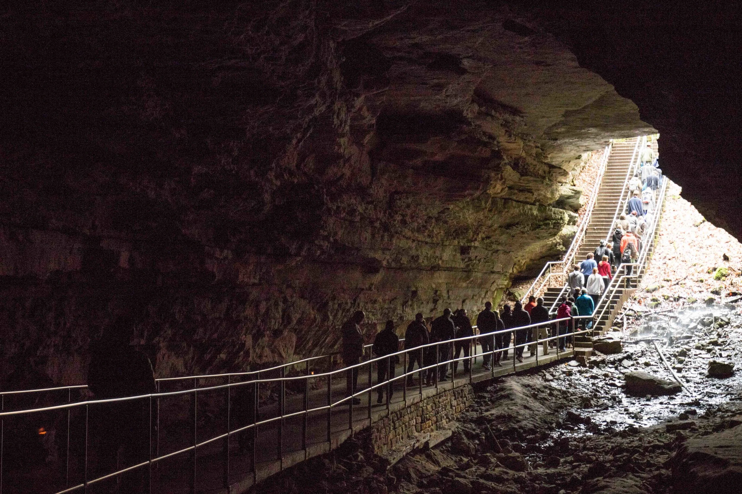Mammoth Cave National Park