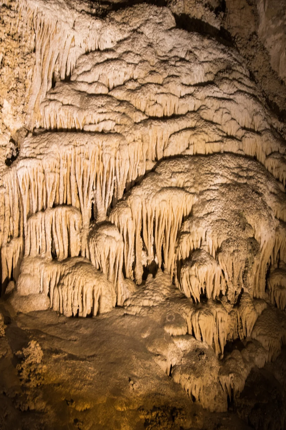 Are Dogs Allowed At Carlsbad Caverns