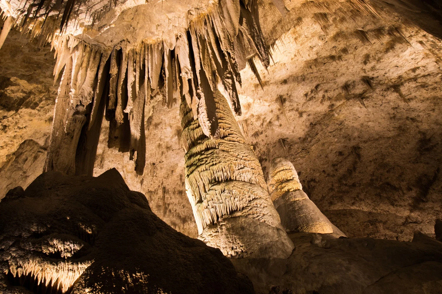 Are Dogs Allowed In Carlsbad Caverns