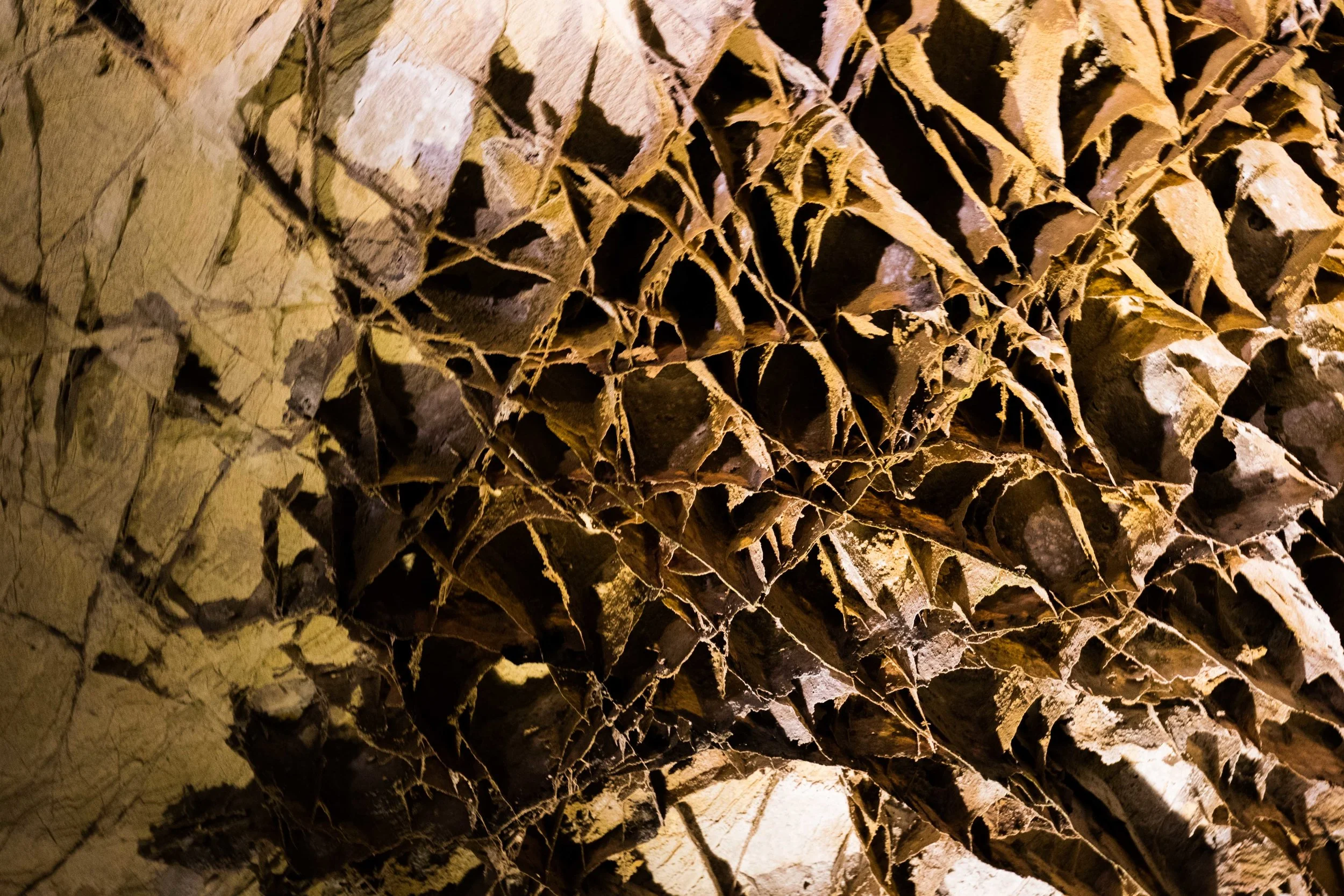 2019_WindCave-30.jpg