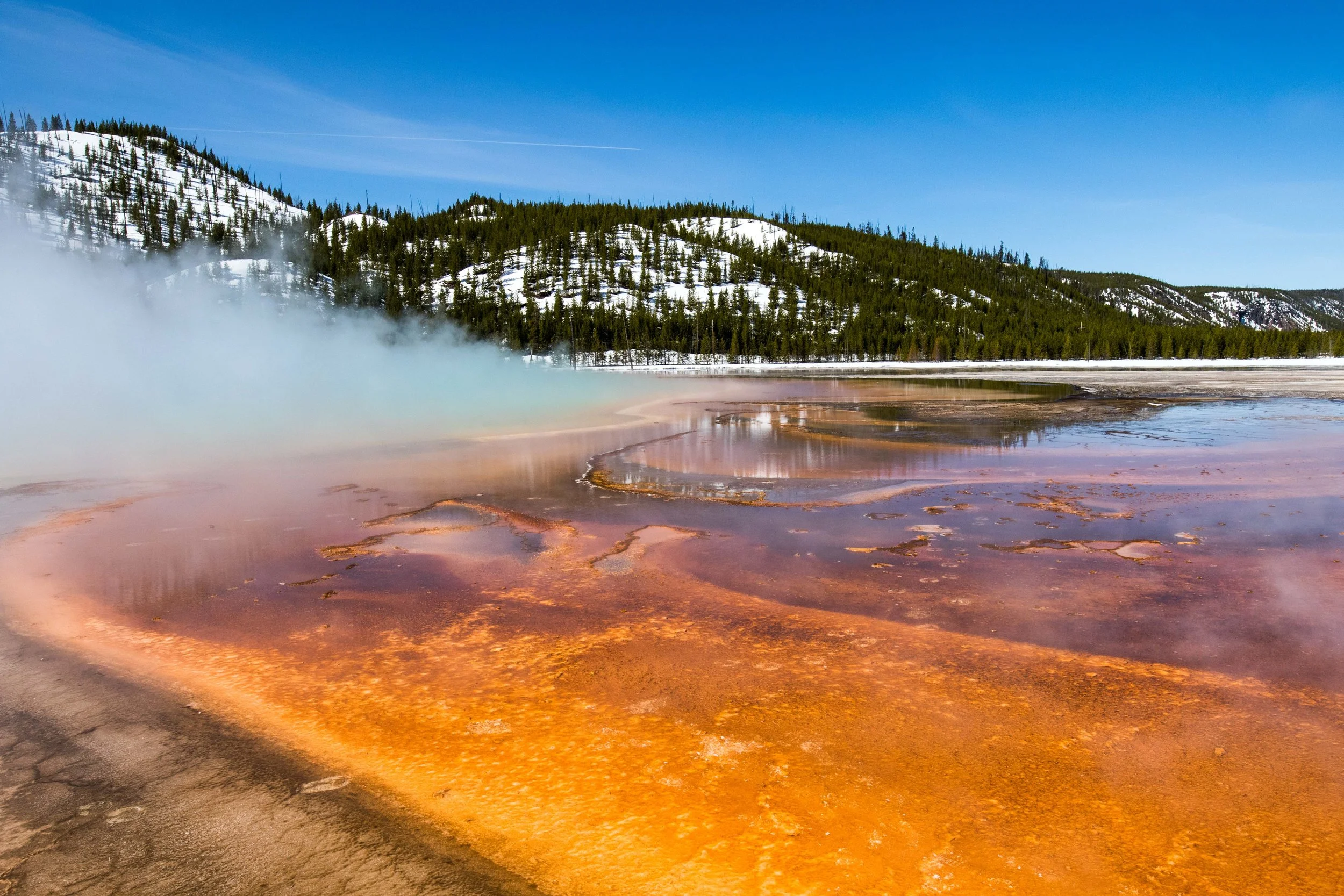 2019_Yellowstone-472.jpg