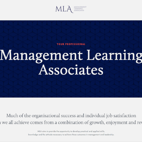 MANAGEMENT LEARNING ASSOCIATES