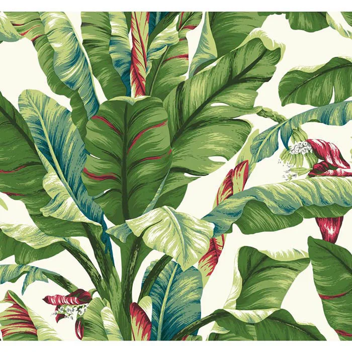 2519165034-WALLPAPER-ASHFORD-TROPICS-AT7068_baixa.jpg