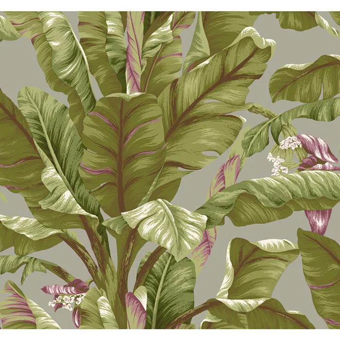 2519165035-WALLPAPER-ASHFORD-TROPICS-AT7069_baixa.jpg