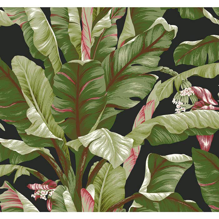 2519165037-WALLPAPER-ASHFORD-TROPICS-AT7071_baixa.jpg