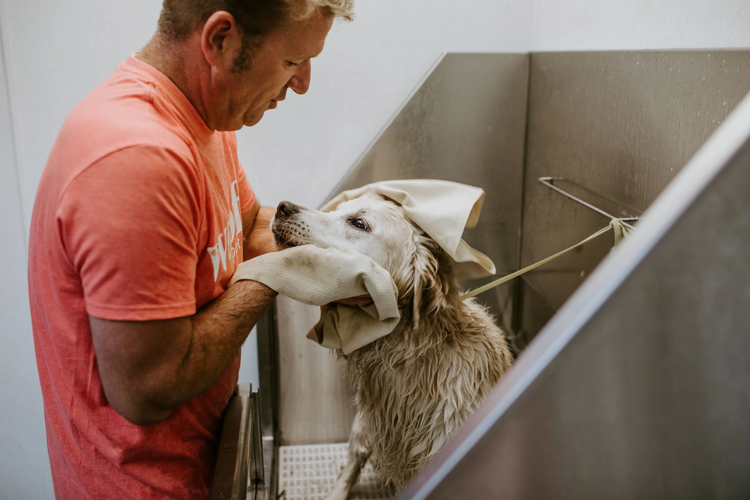 Woof Pet Resort Dog Daycare, Boarding, and Grooming in Shrewsbury, MA