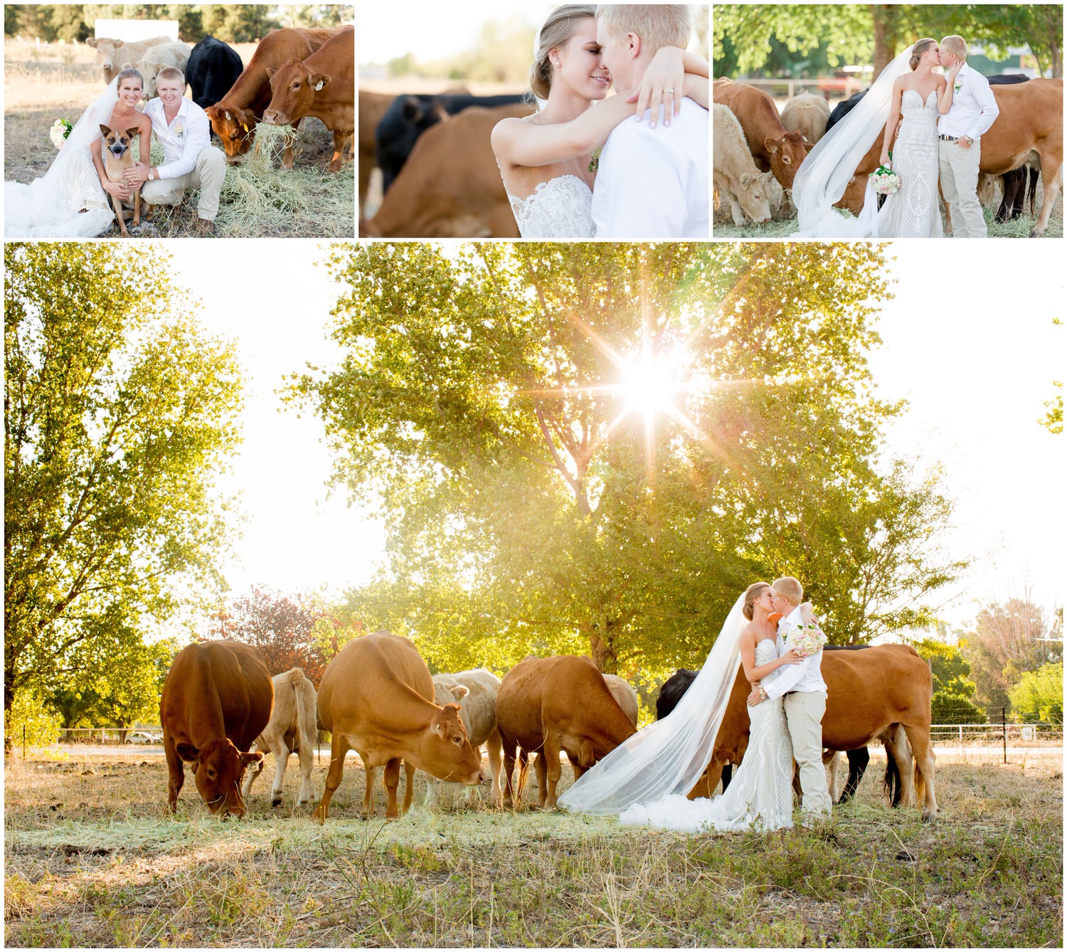 Dubbo Wedding Photography - Country Wedding 11
