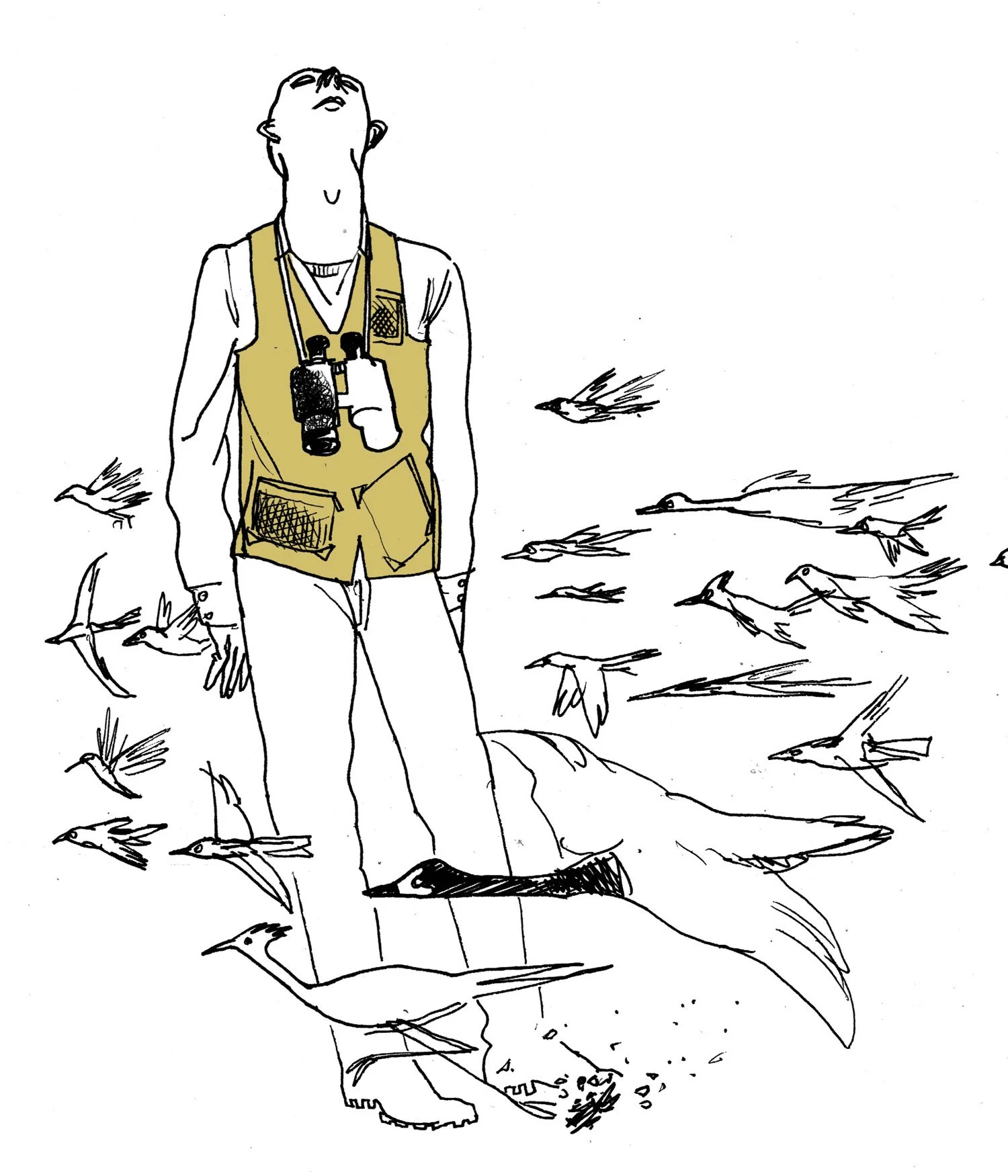 birdnotwatcher.jpg