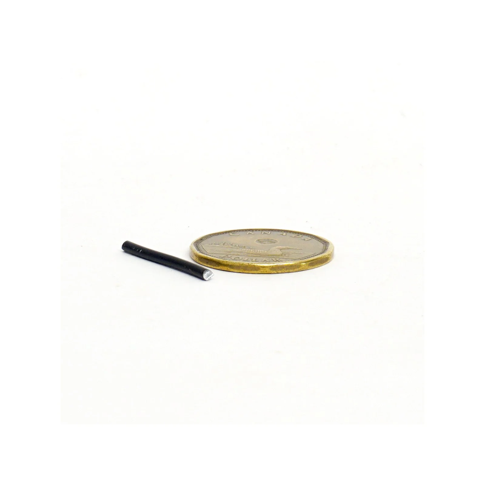 2 mm zoom sq.jpg