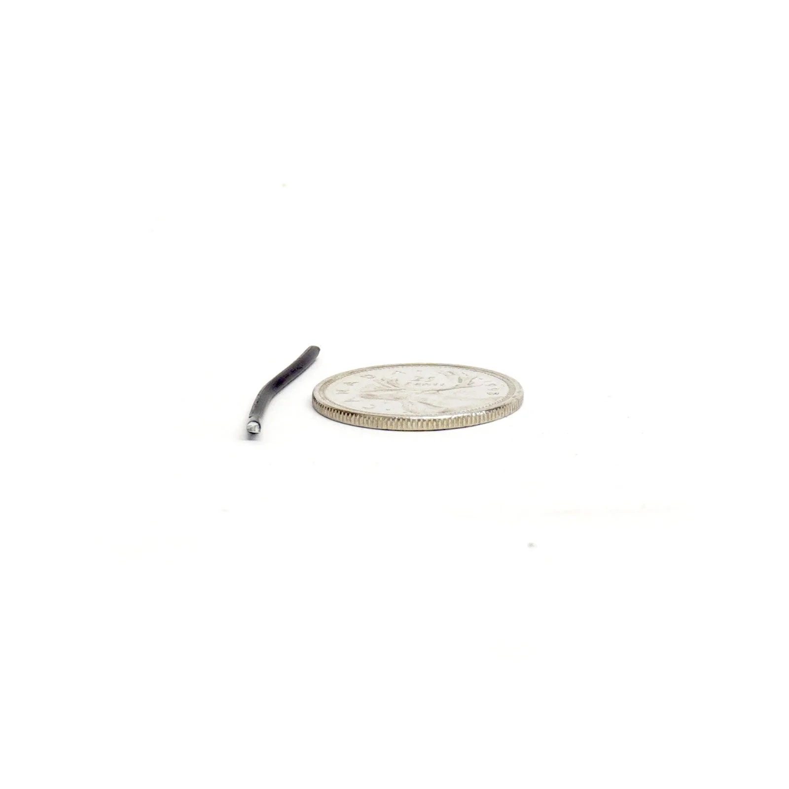1.5 mm zoom sq.jpg