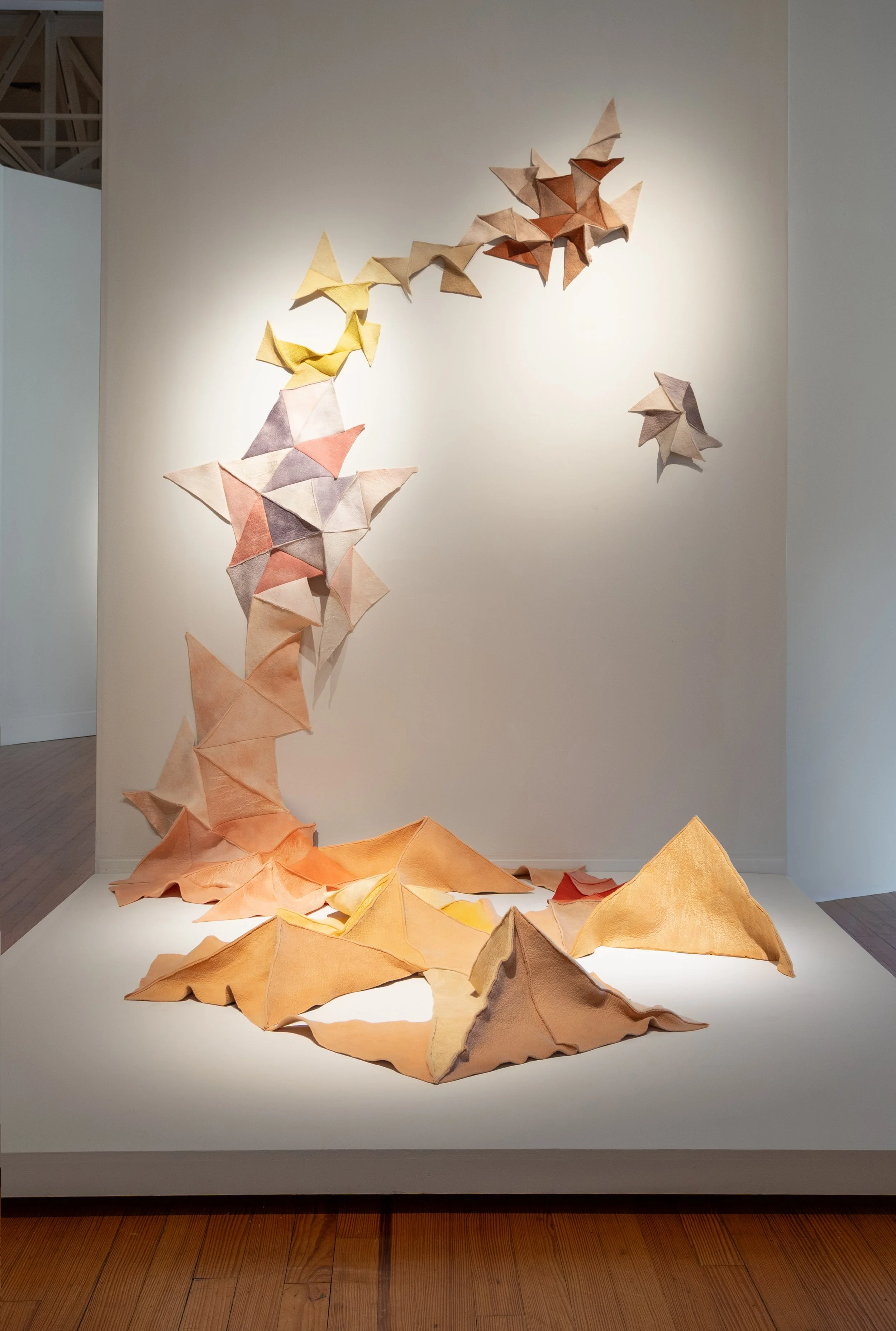 Installation - Chenta Laury 'Botanical Cycle' 3.jpg