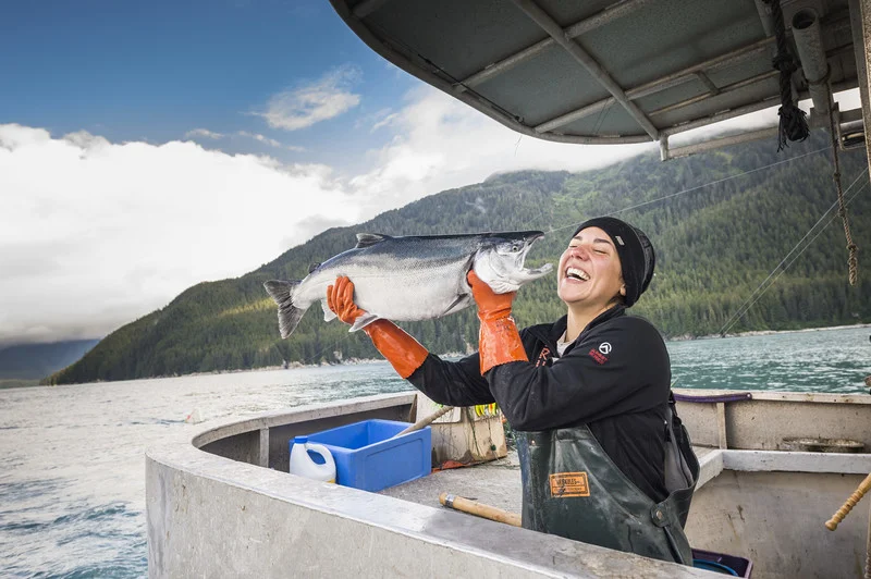 Fisherman Laughs With Troll Caught Salmon: Photo Courtesy of Alaska Seafood