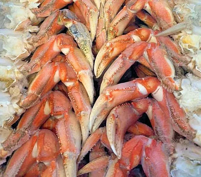 Dungeness Crab