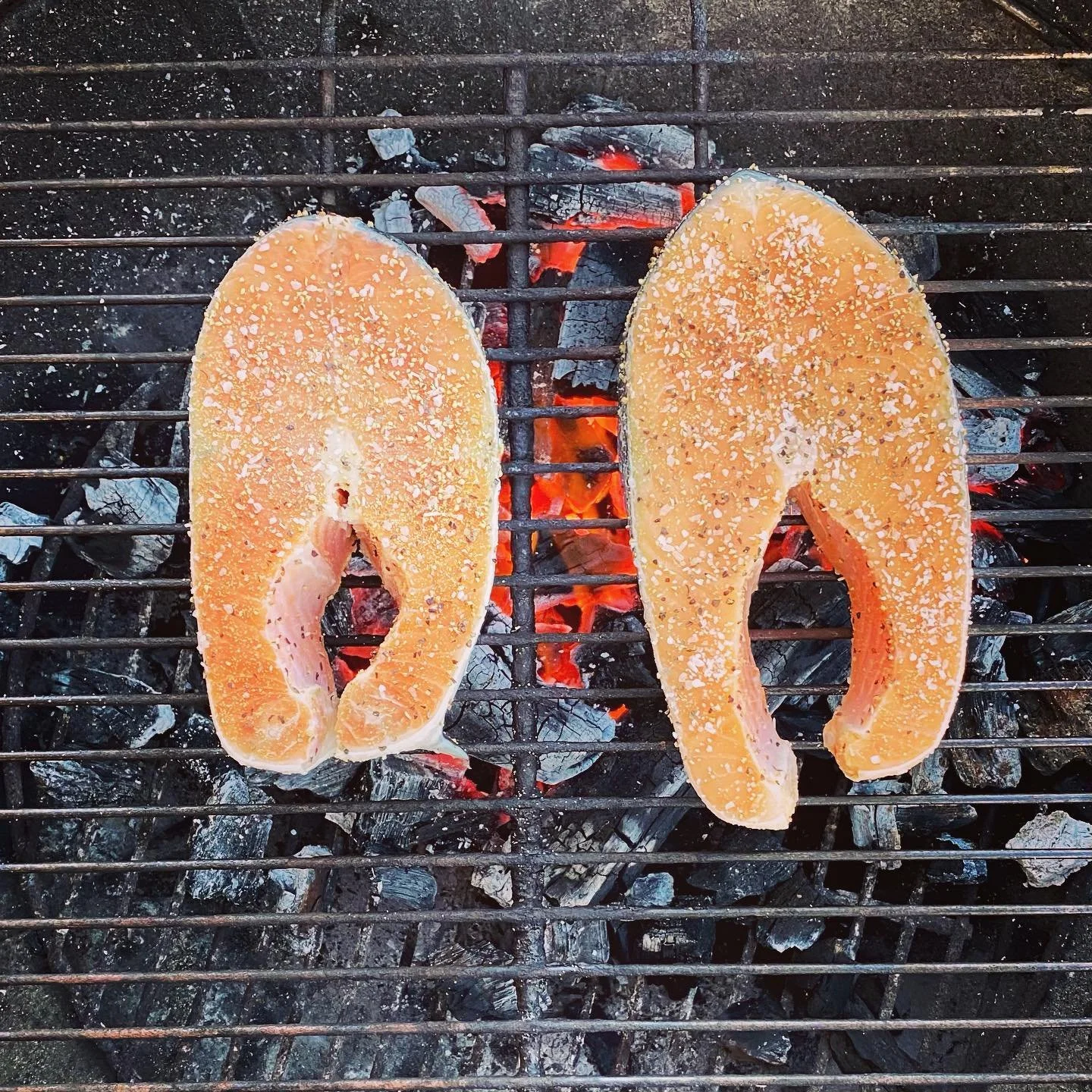 Salmon_Steaks.jpg