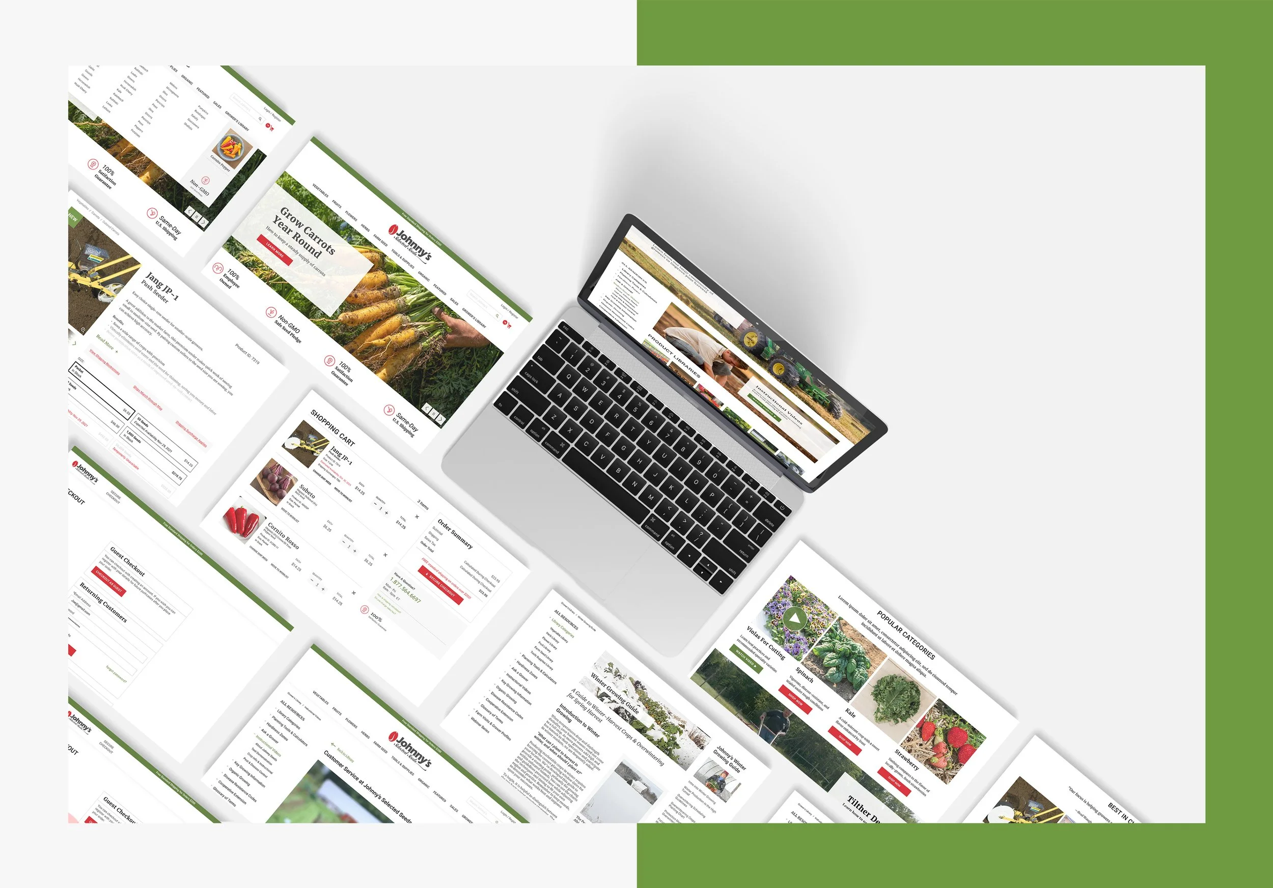 JohnnySeeds_Website Mockup_3.jpg