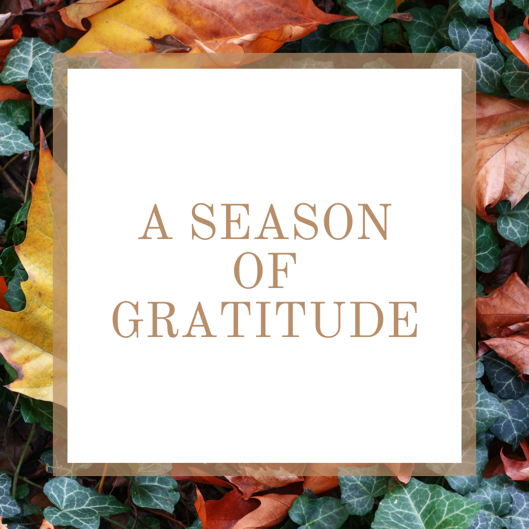 Traditional Service - November 22nd, 2020  