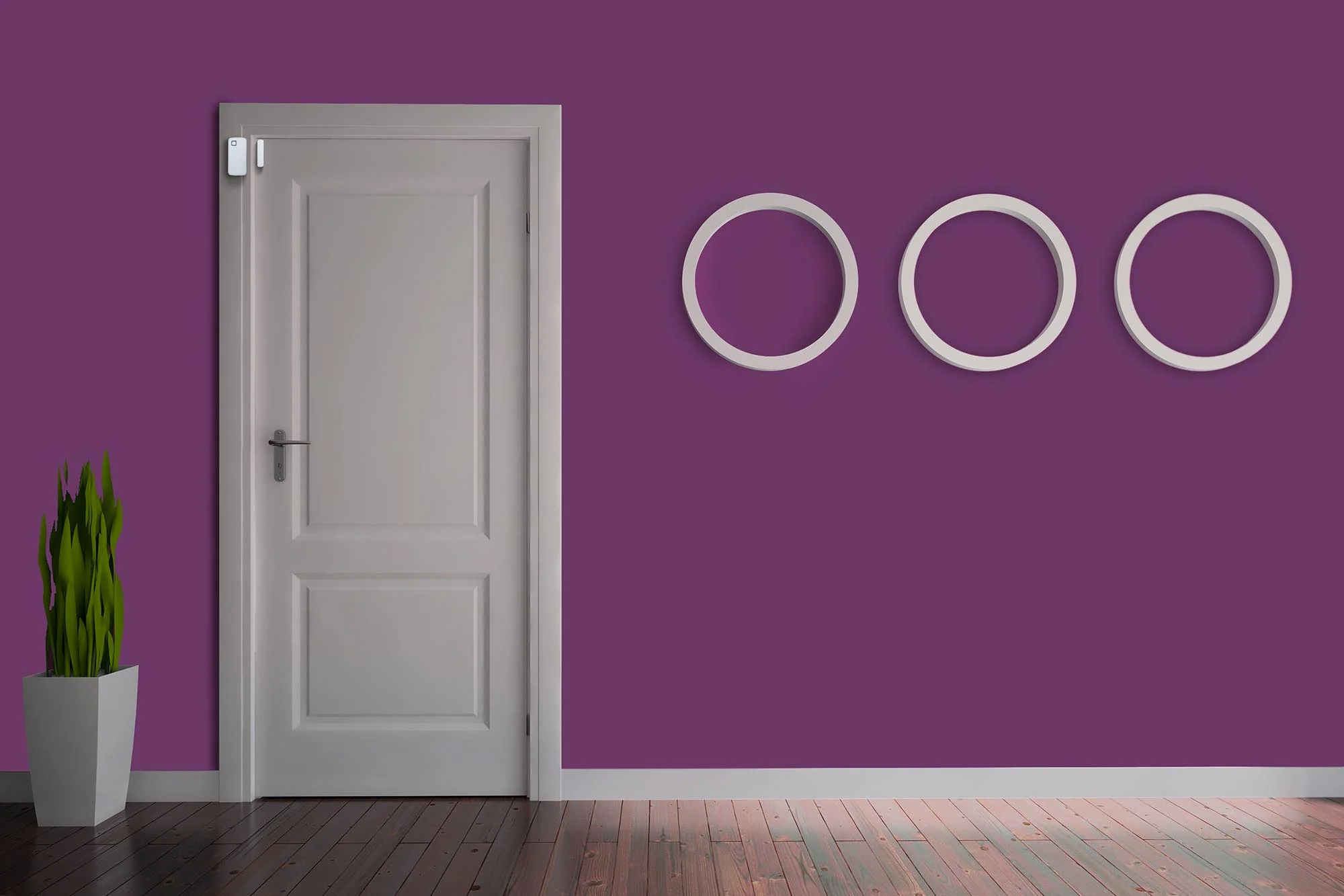 DoorSensor.jpg