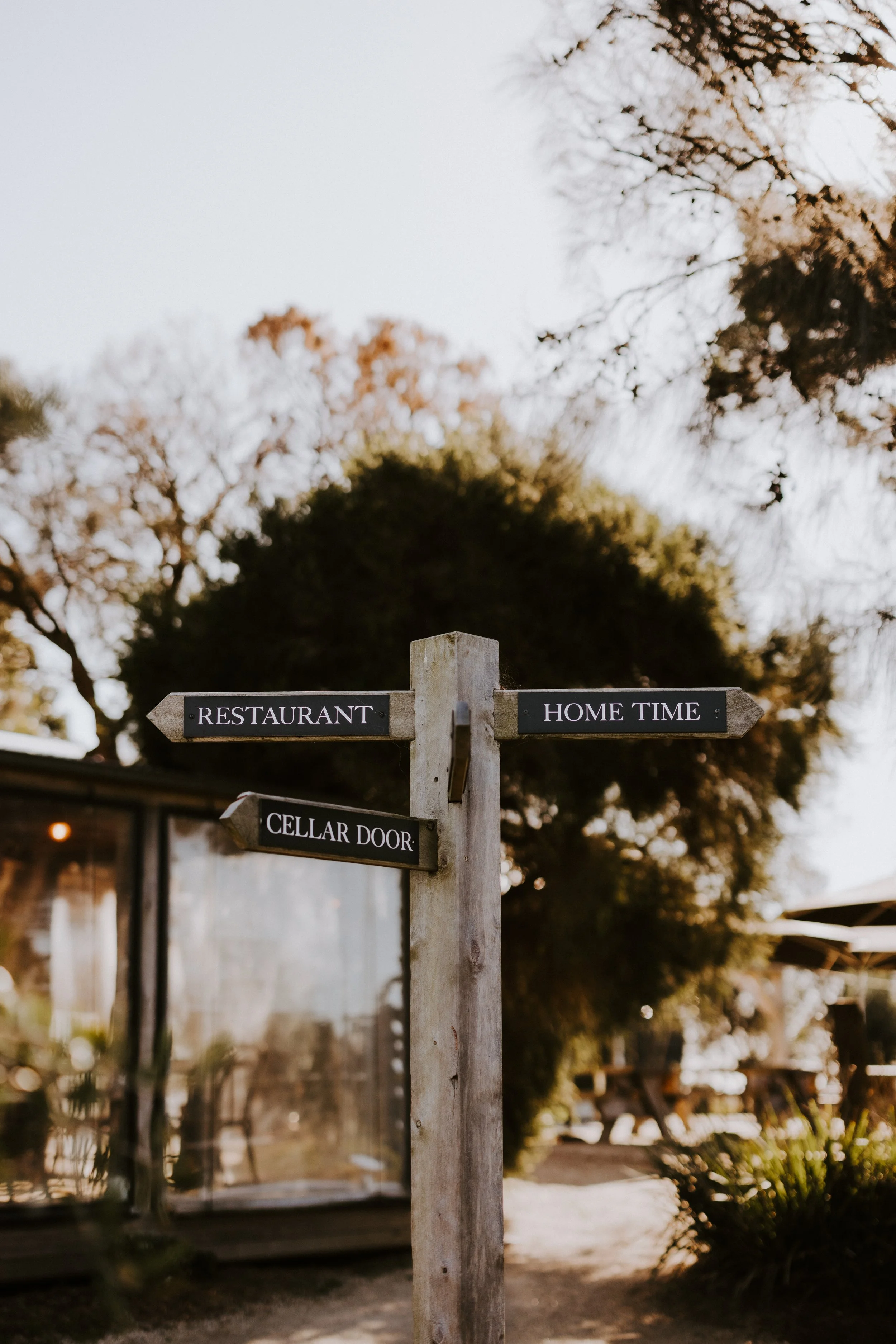 ZOE PHOTOGRAPY STUDIO - PHILLIP ISLAND WINERY-5522.jpg