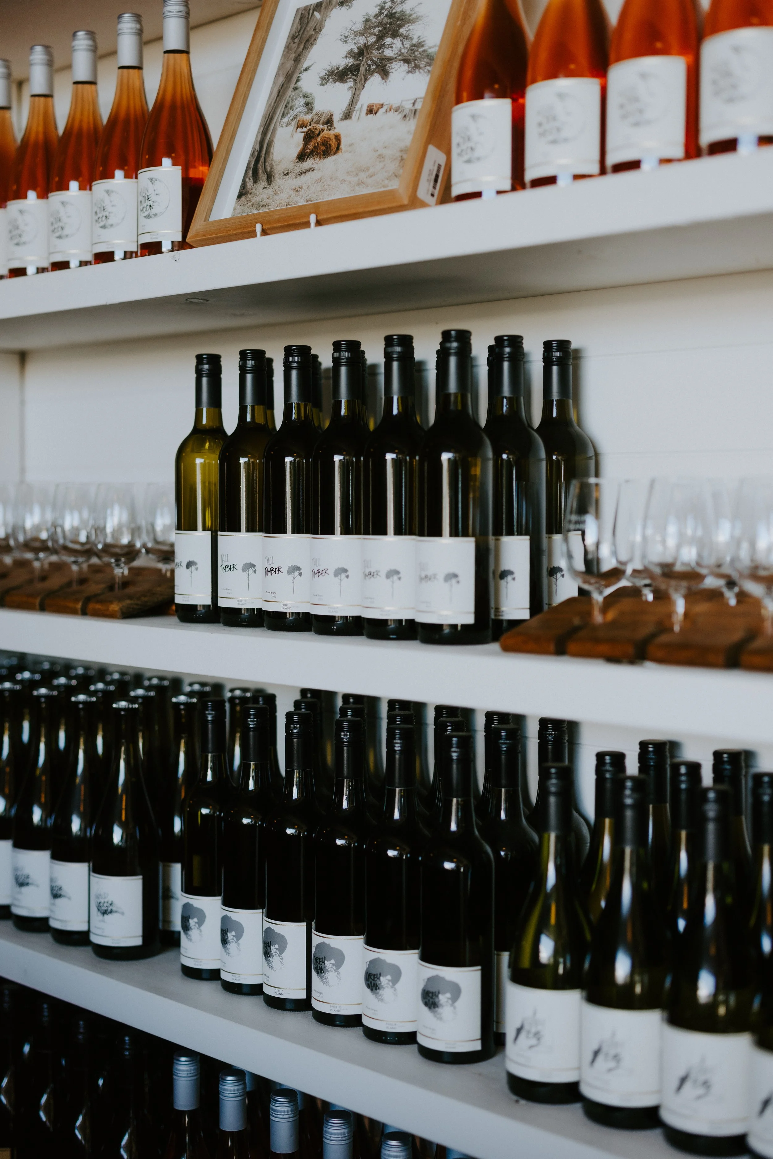 ZOE PHOTOGRAPY STUDIO - PHILLIP ISLAND WINERY-5620.jpg