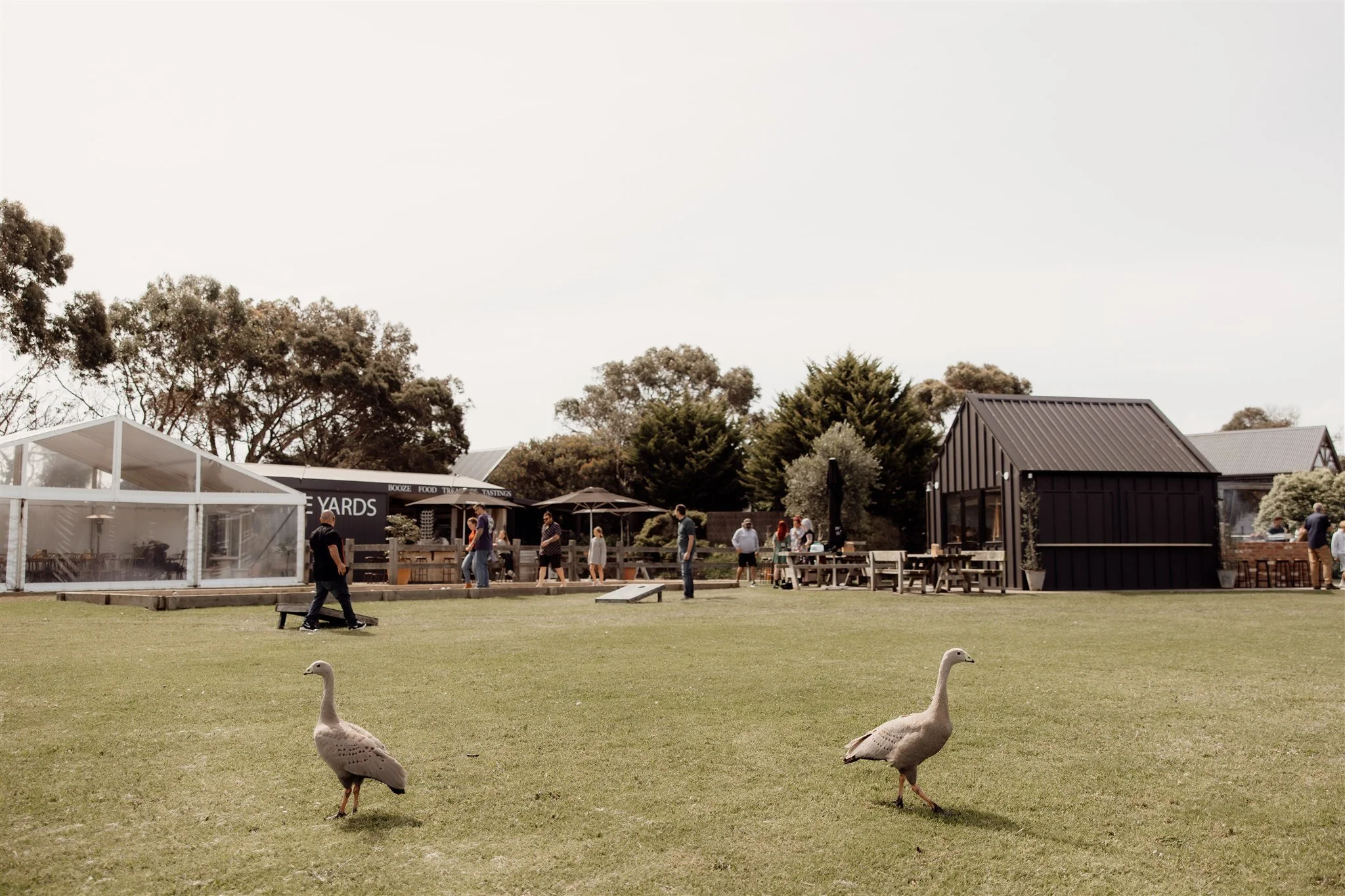 Phillip Island Winery