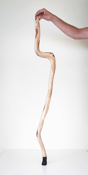 BOA STICK