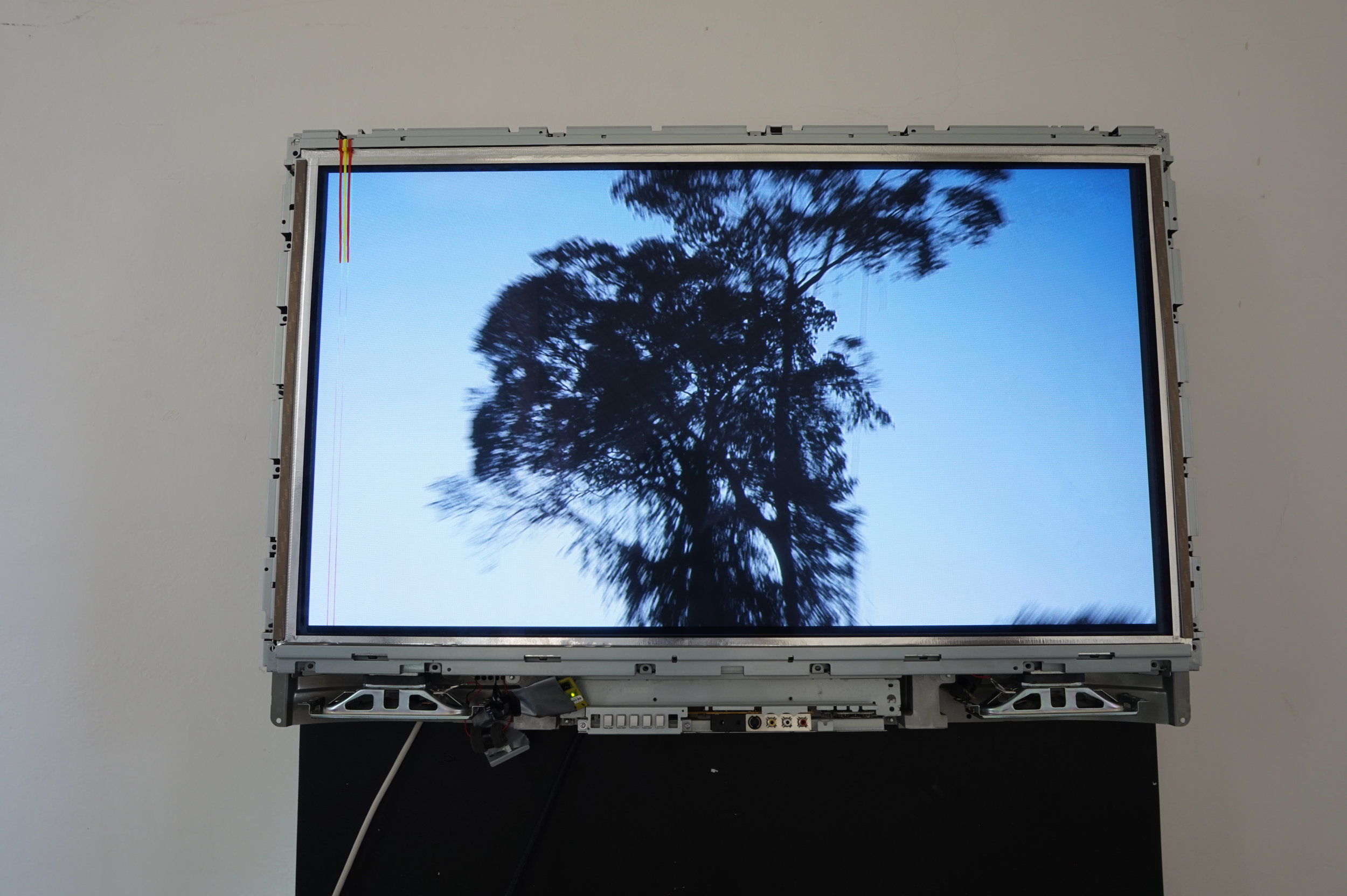 WITH SHARP OBJECT I BROWSE THE MIST