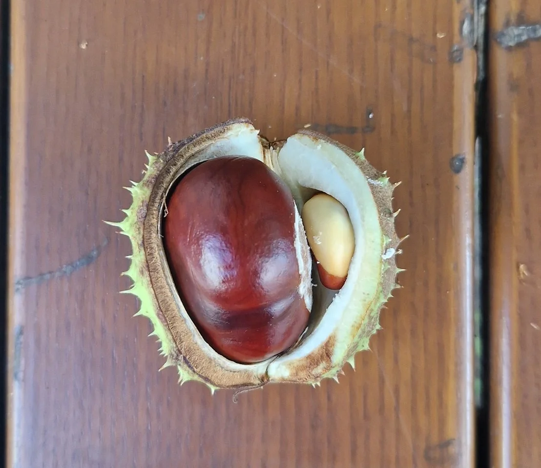 Natürlichkeit: In was für einer Welt leben wir eigentlich?