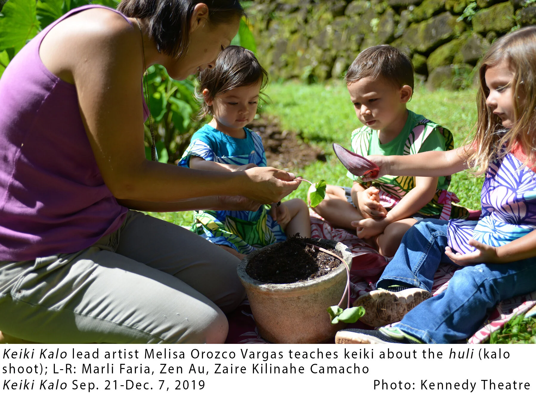Keiki Kalo (5) captioned.jpg