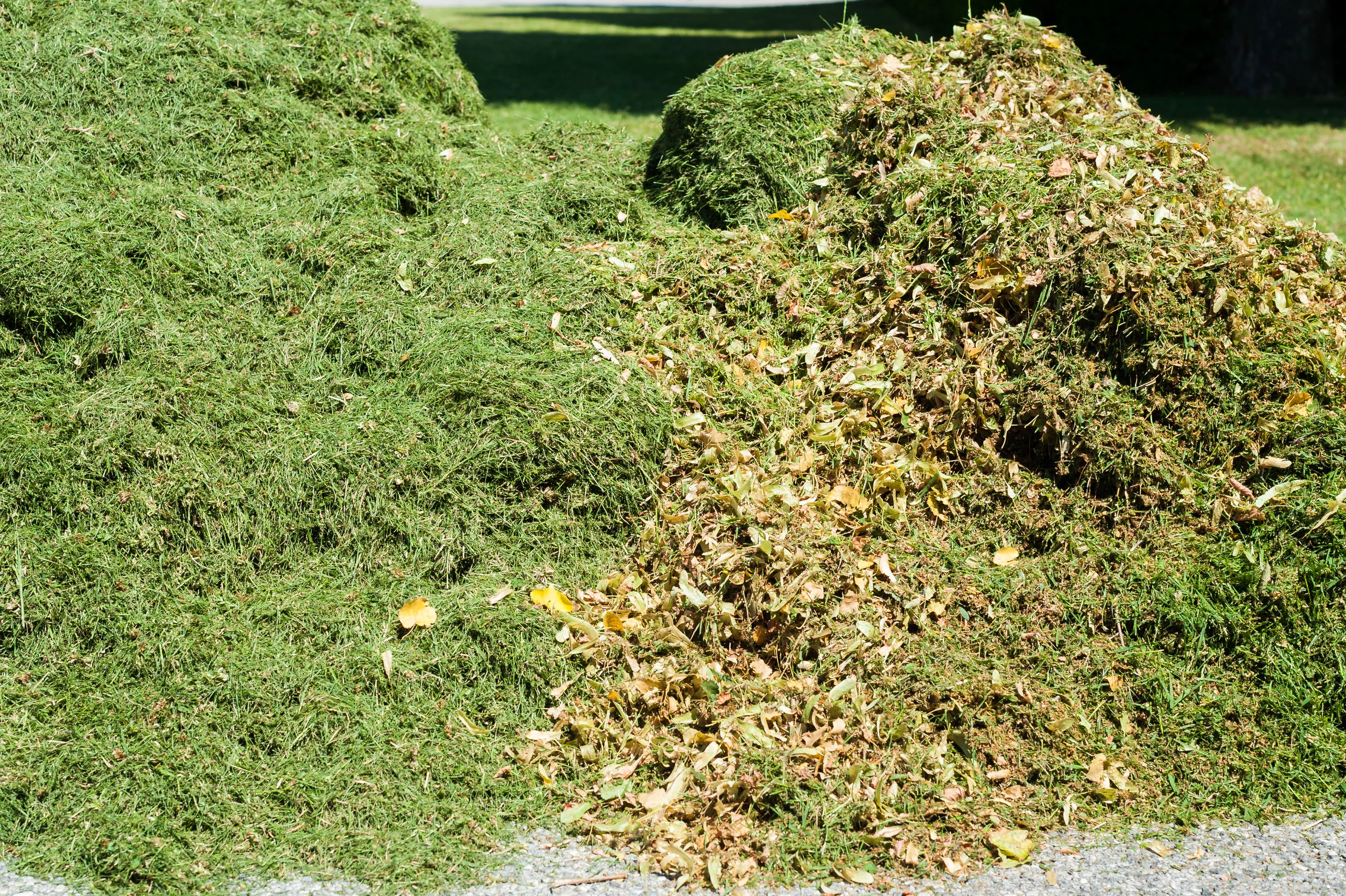 Waste treatment for AD