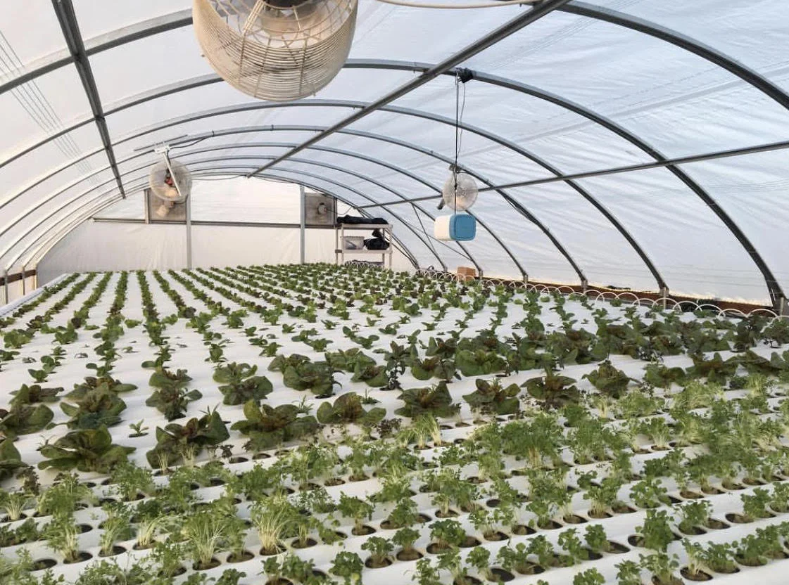 greenhouse.jpg