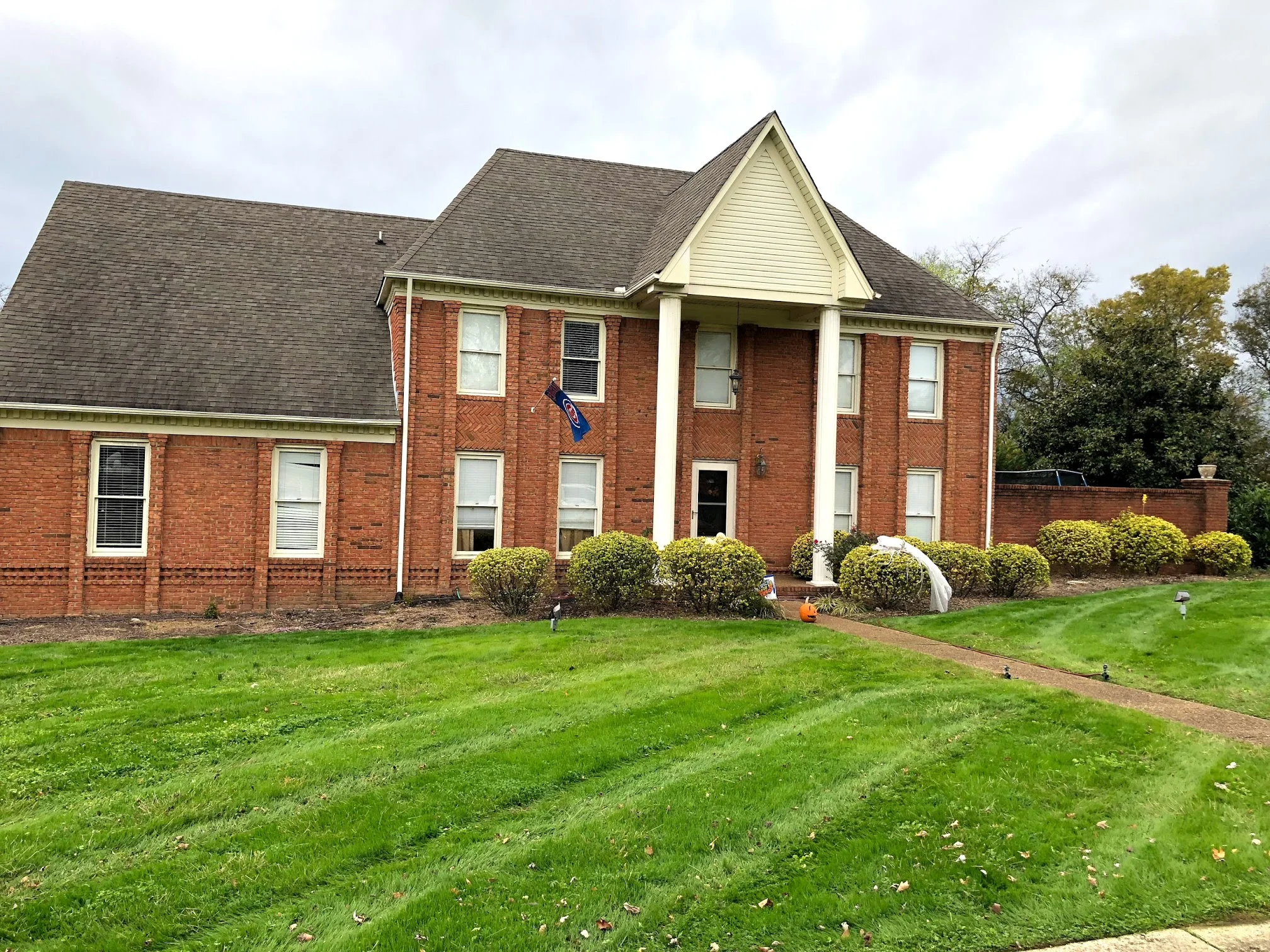 Front Seed After.jpg