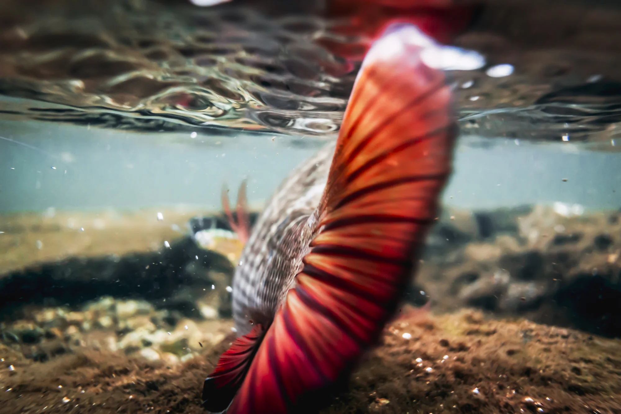 untitled-177-Edit.jpg