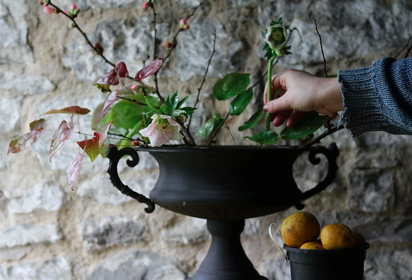 Frances &amp; Rose - Growing &amp; Styling